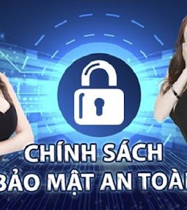 Win79 Cược đá gà trực tiếp tại Thomo